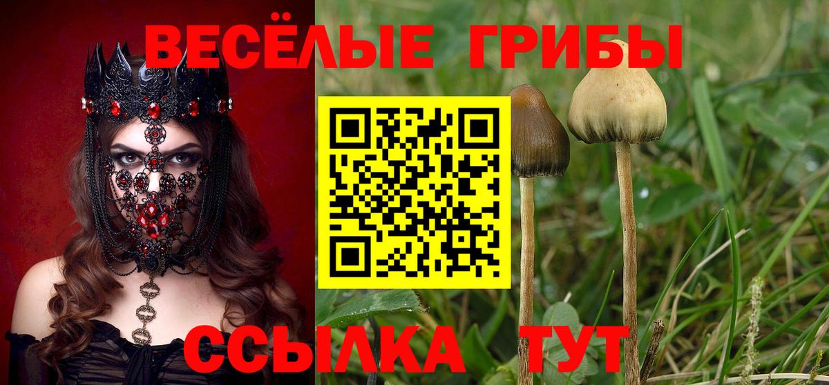 Псилоцибиновые грибы Cubensis  Вход с VPN  Ангарск 
